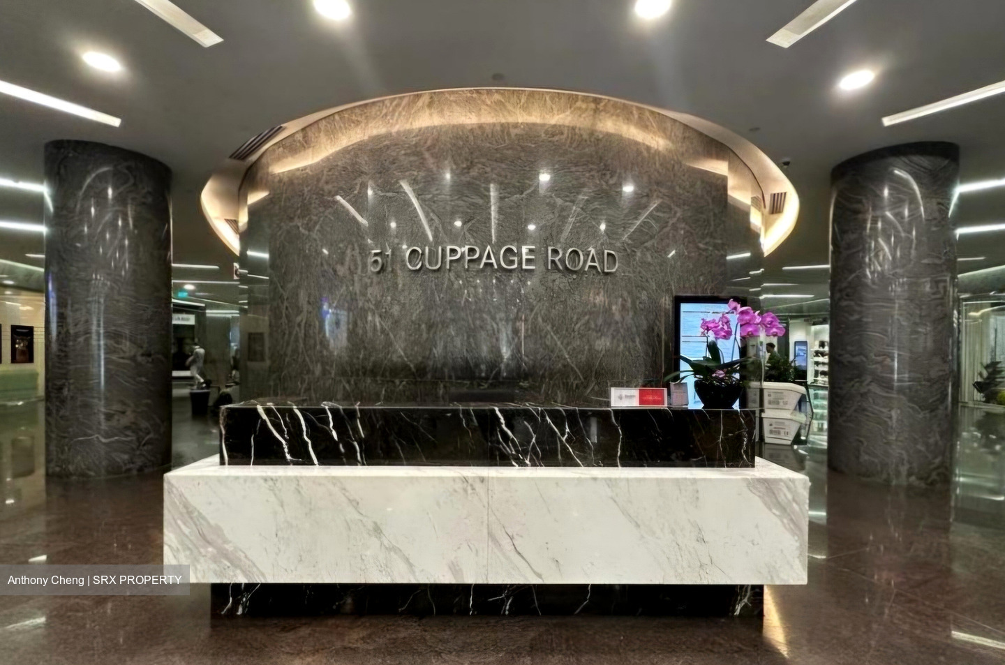 51 Cuppage Road (D9), Retail #448764561
